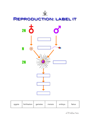 Reproduction: label it