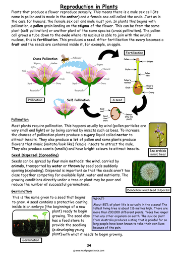 Reproduction in Plants | Teaching Resources