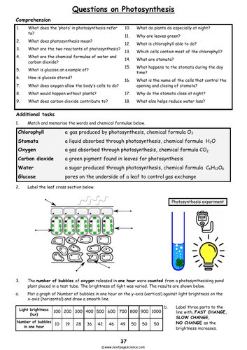 Photosynthesis | Teaching Resources
