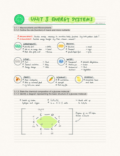 IB SEHS Unit 3 Energy System (SL)