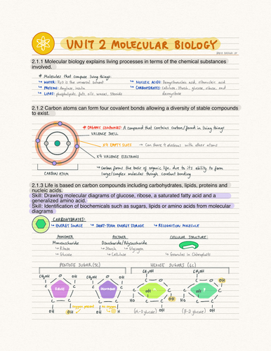 IB Biology Unit 2 Molecular Biology (SL)