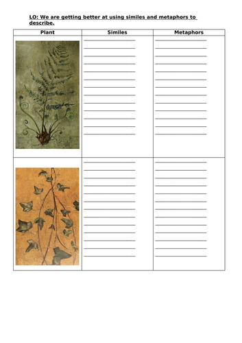 4-weeks-unit-of-english-planning-for-lost-words-teaching-resources