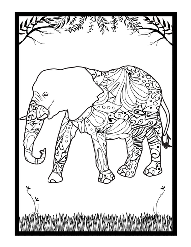 Wild Animals Colouring Pages, Sheets PDF, Cool Animals Printable