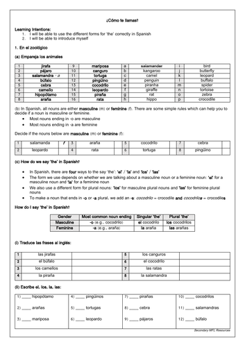 Viva 1 Spanish Bundle - 40+ Worksheets | Teaching Resources