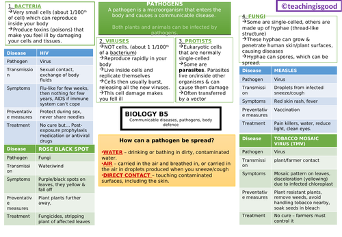 Gcse Biology Communicable Diseases B5 Revision Mat Teaching Resources