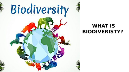 Biology A Level - Biodiversity Module - Information Resource | Teaching ...