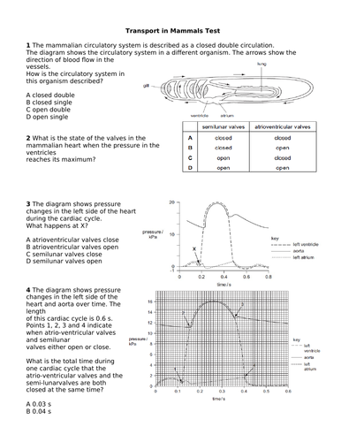 biology-as-level-cie-end-of-topic-tests-full-set-teaching-resources