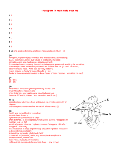 doc, 66 KB