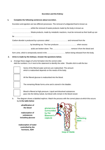 docx, 41.66 KB