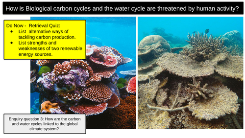 Carbon Cycle Human Activity