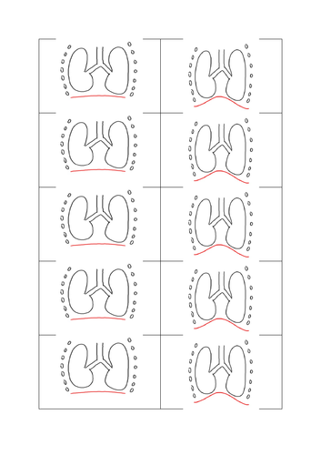 Respiratory System Ks3 Science Teaching Resources