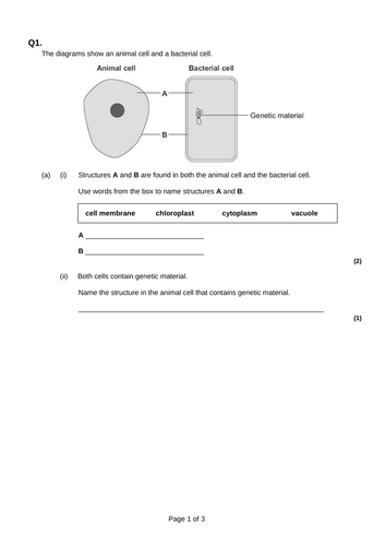 Eukaryotic and Prokaryotic cells | Teaching Resources