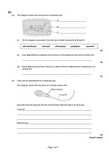 Cell specialisation and differentiation | Teaching Resources