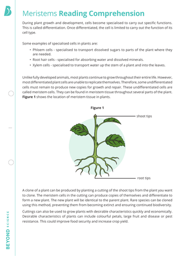 Stem cells | Teaching Resources