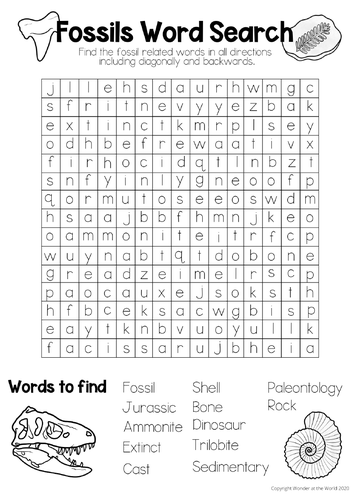 fossils theme vocabulary word search ks2 teaching resources