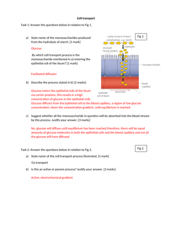 docx, 481.53 KB