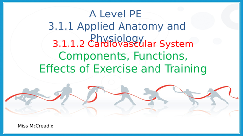A-Level Physical Education Anatomy and Physiology - AQA new ...