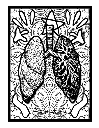 human-anatomy-mindfulness-mandala-colouring-pages-anatomy-printable