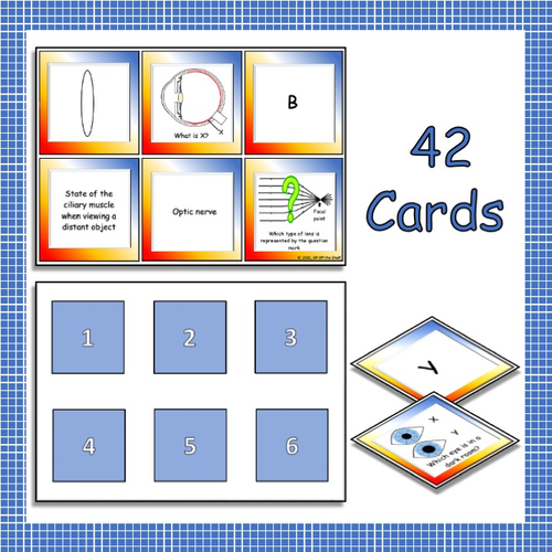 Light Lenses Plus the Eye, Pinhole Camera & Camera Find the Pair