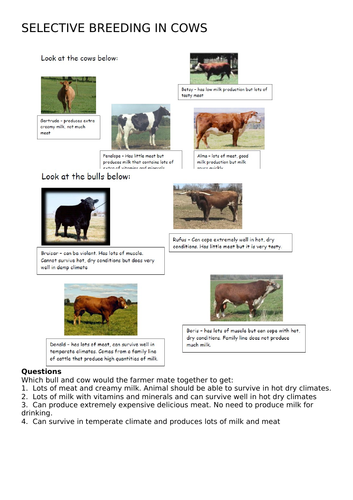 Activate 3 - B1 - New Technology - Selective Breeding | Teaching Resources