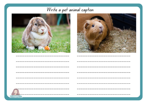 Pet animal captions | Teaching Resources