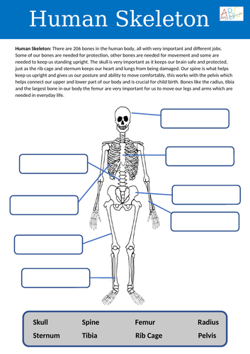 docx, 154.89 KB