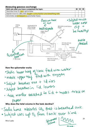 OCR A Alevel Biology, Exchange surfaces, Spirometers, measuring gas ...