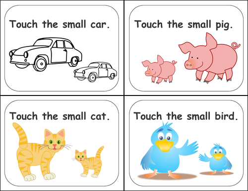 Big and Small Visual aid Cards | Teaching Resources