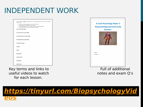 AQA A-Level Psychology Biopsychology – The Nervous System | Teaching ...