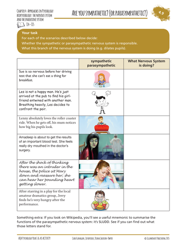 AQA A-Level Psychology Biopsychology – The Nervous System | Teaching ...