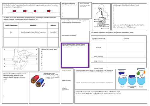 REVISION GCSE BIOLOGY Organisation | Teaching Resources
