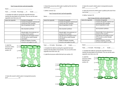 docx, 26.56 KB