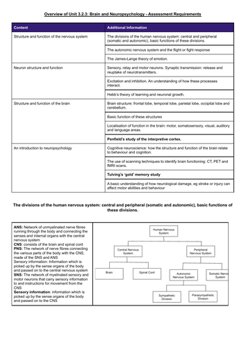 AQA GCSE Psychology Complete Revision Notes | Teaching Resources