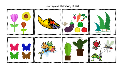 Sorting And Classifying Activity Cards Teaching Resources