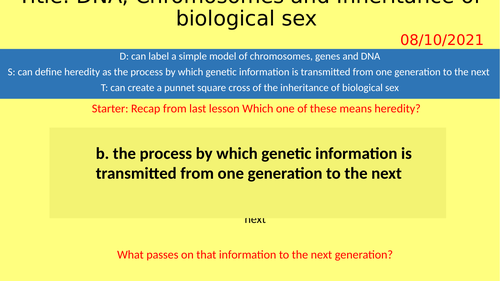 Inheritance Of Sex Lesson For Y9 Full Lesson Plus Resources Teaching Resources