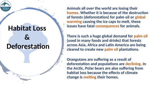 Lesson 5. Habitat Loss & Deforestation | Teaching Resources
