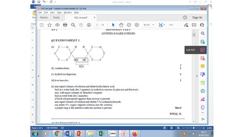 pptx, 942.45 KB