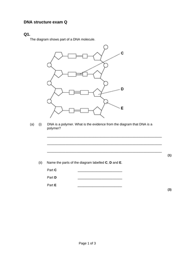 AQA A level Biology - Biological molecules 8 and 9 | Teaching Resources