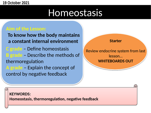 Coordination and Response - Biology (I)GCSE: teacher ppt and student ...