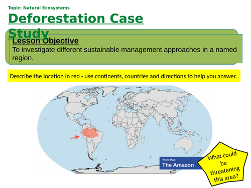 amazon case study geography