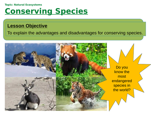 KS4 Species Conservation | Teaching Resources