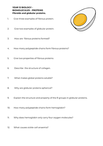 Great Protein Structure Questions Biomolecules A Level Biology 