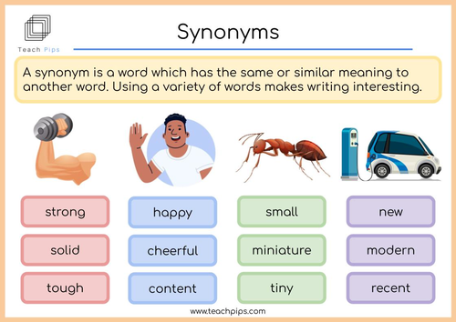Creating a new Synonym