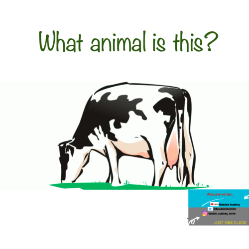 Pets & Domestic Animals Question and Answer PDF - Fun Learning | Teaching  Resources