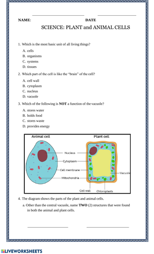 Grad 6 science work sheets | Teaching Resources