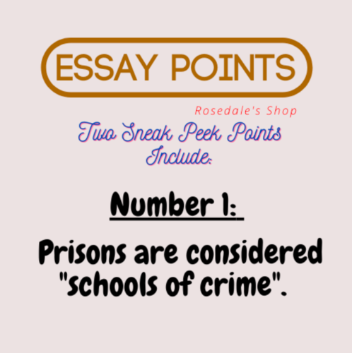 essay topics on prisons