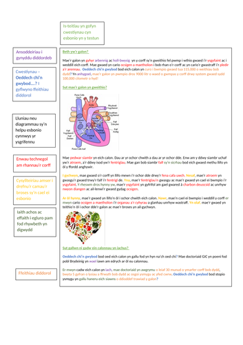 docx, 115.44 KB