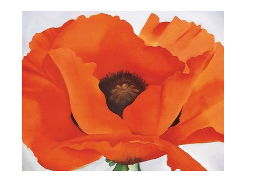 Remembrance Day activities KS2 | Teaching Resources