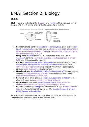 docx, 2.36 MB