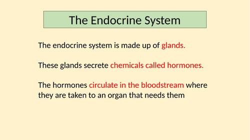 The Menstrual Cycle - Homeostasis | Teaching Resources